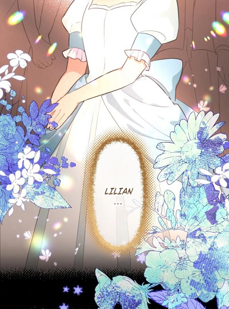 67885556 800 1080 250217